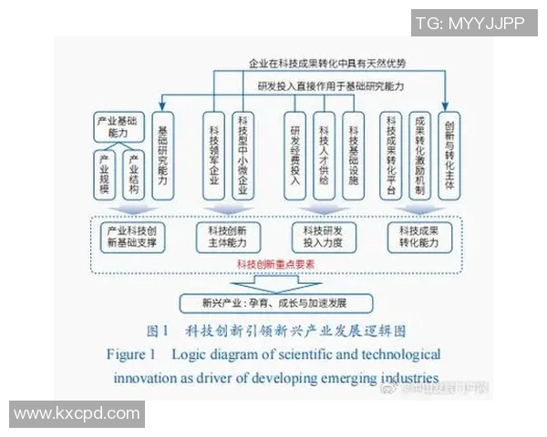 探索WRLXin的创新之路与未来发展潜力分析